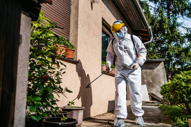 Best Best Pest Control Companies  in Ferry Pass, FL