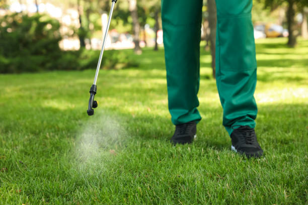 Best Commercial Pest Control Services  in Ferry Pass, FL