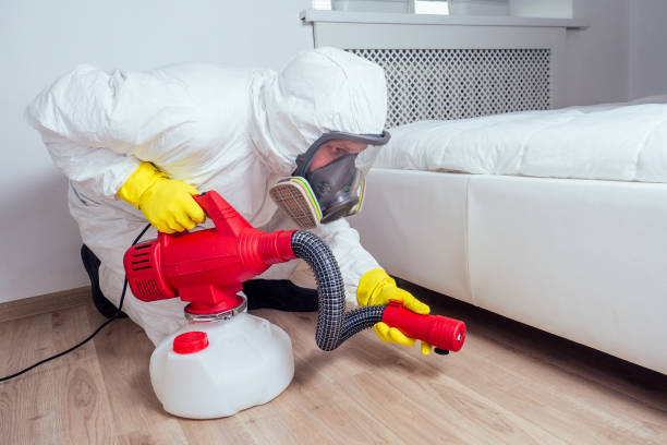 Best Local Pest Control Services  in Ferry Pass, FL