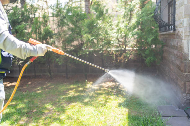 Best Pest Inspection Near Me  in Ferry Pass, FL