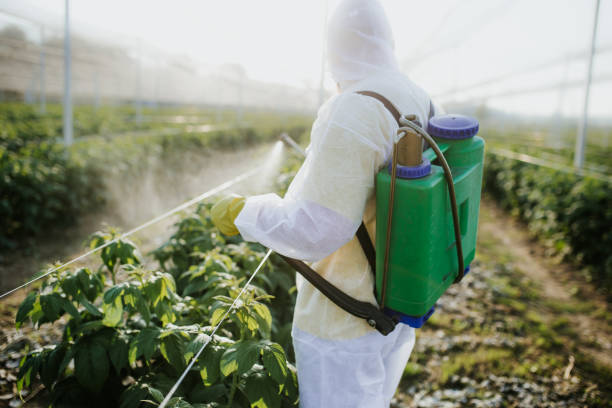 Best Pest Control Cost  in Ferry Pass, FL